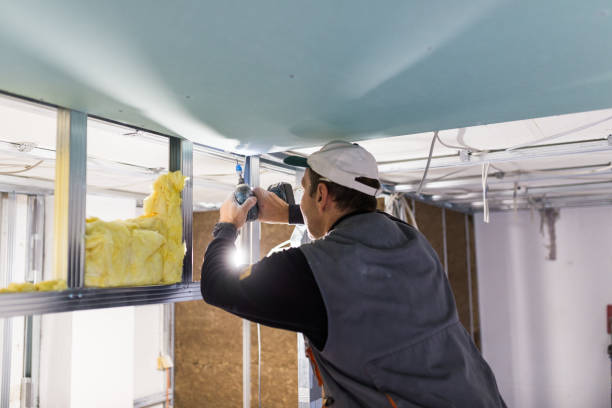 Best Residential Insulation in Cambridge, MN