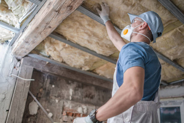 Best Residential Insulation in Cambridge, MN